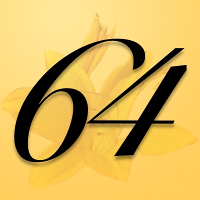 Significado del número 64 en Numerología » Número de ángel 64