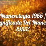 Numerología 1955 / Significado del número 1955