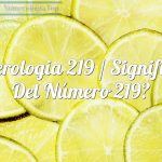 Numerología 219 / Significado del número 219