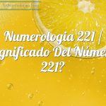 Numerología 221 / Significado del número 221