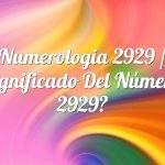 Numerología 2929 / Significado del número 2929