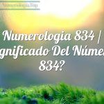 Numerología 834 / Significado del número 834