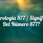 Numerología 877 / Significado del número 877
