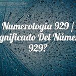 Numerología 929 / Significado del número 929