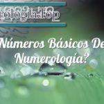 Números básicos de numerología
